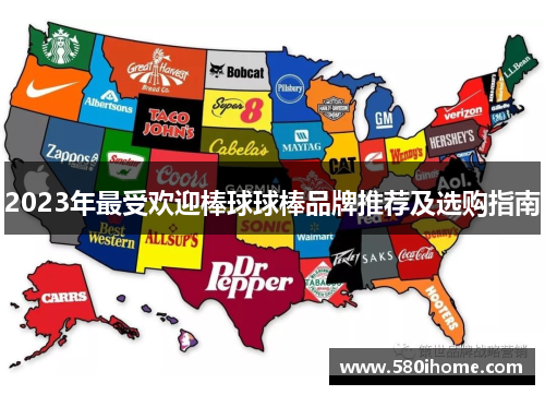 2023年最受欢迎棒球球棒品牌推荐及选购指南