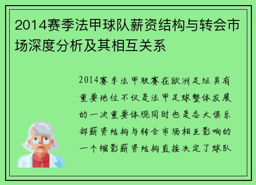 2014赛季法甲球队薪资结构与转会市场深度分析及其相互关系