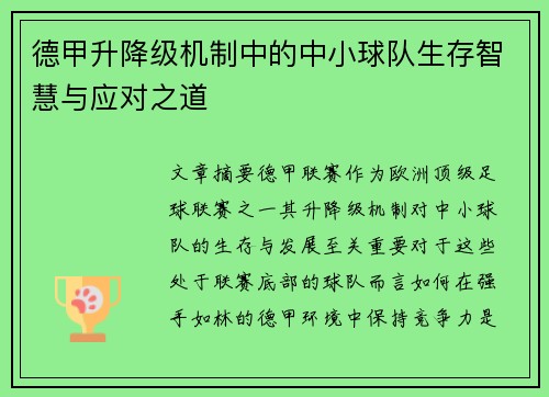 德甲升降级机制中的中小球队生存智慧与应对之道